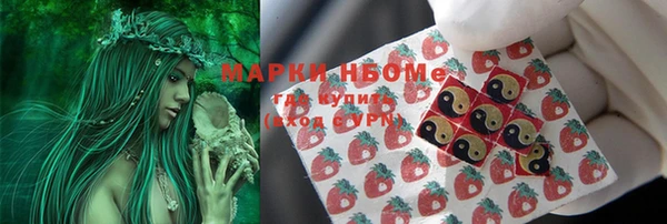 мет Няндома