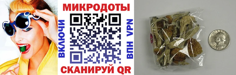 купить цена Изобильный нарко площадка клад Псилоцибиновые грибы GOLDEN TEACHER