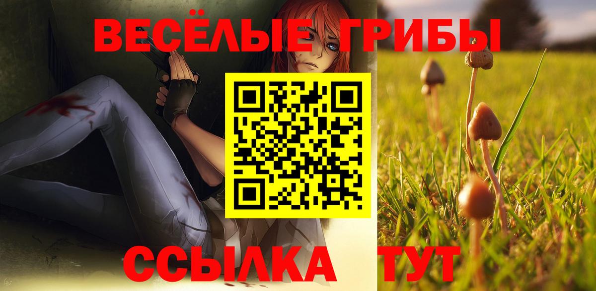 Псилоцибиновые грибы Psilocybe  Вход с VPN  Псилоцибиновые грибы GOLDEN TEACHER  Изобильный 